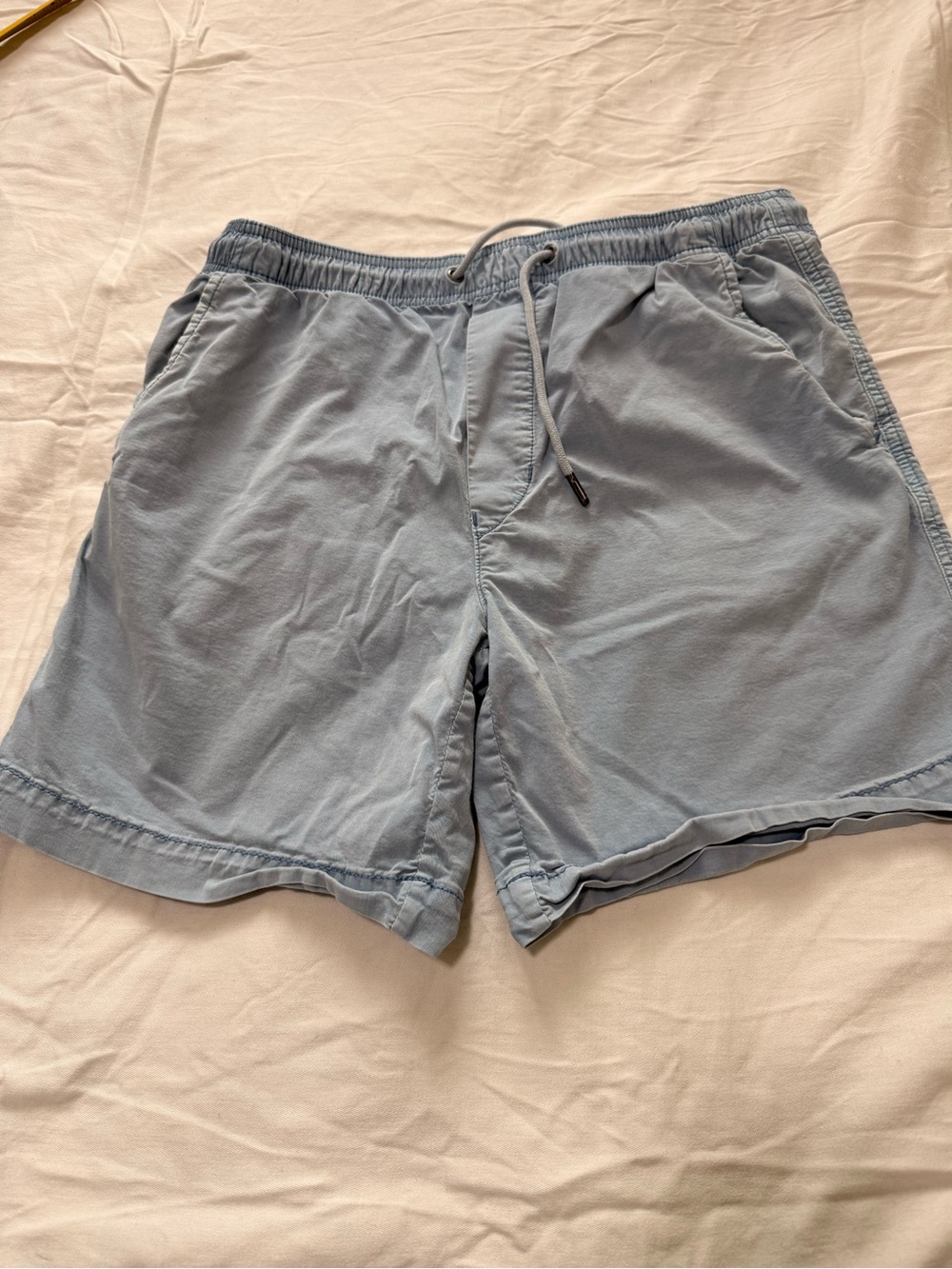 American Eagle Outfitters Light Blue Drawstring Shorts